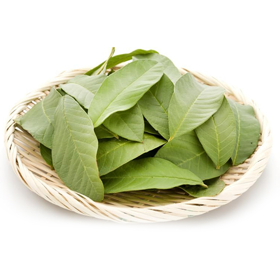 Guava-Leaves