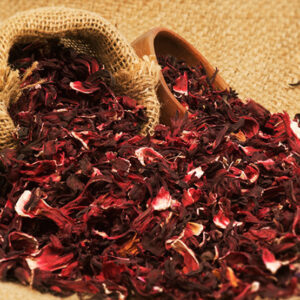 Hibiscus