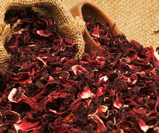Hibiscus