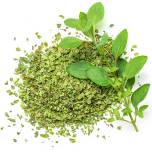 Marjoram