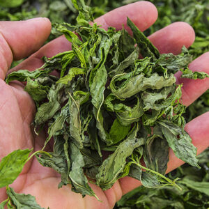 Peppermint