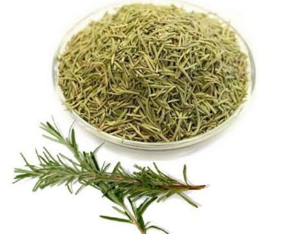 Rosemary
