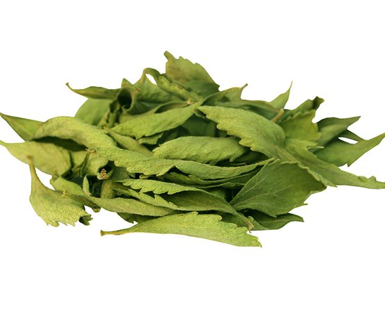 Stevia
