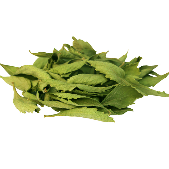 Stevia