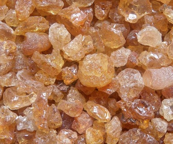 Acacia
