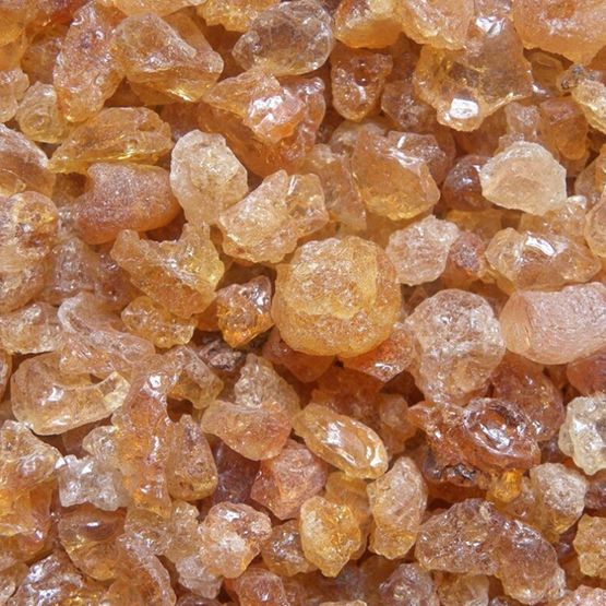Acacia