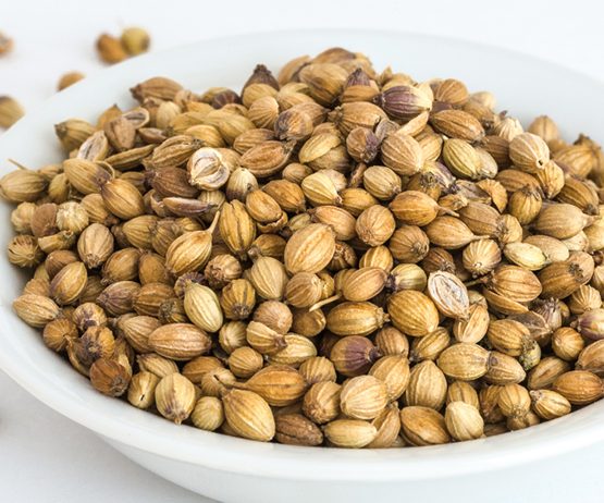 Coriander