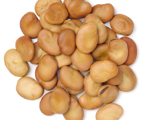 Faba beans