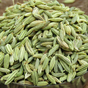 Fennel