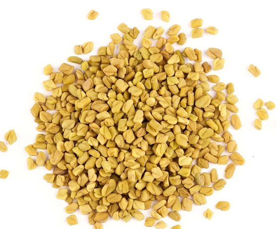 Fenugreek