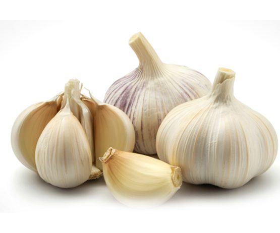 Garlic