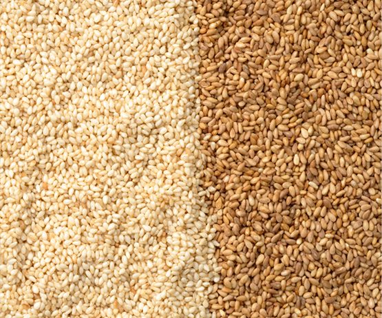 Sesame