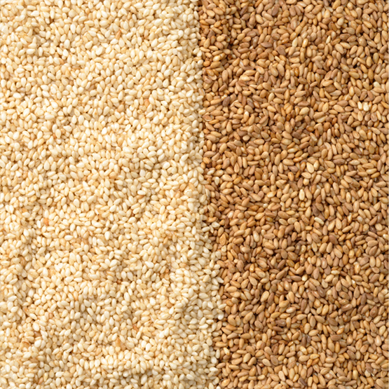Sesame