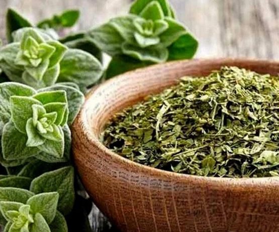 Thyme Leaves