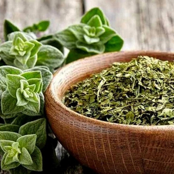 Thyme Leaves